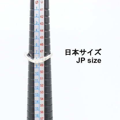 カルティエ パリヌーベルバーグ Au750ホワイトゴールド ダイヤモンド リング 8号