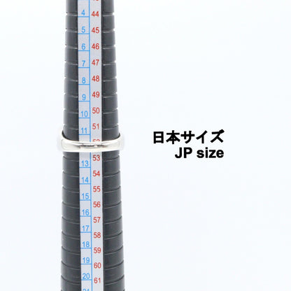 ジュエリー Pt900プラチナダイヤモンドリング
