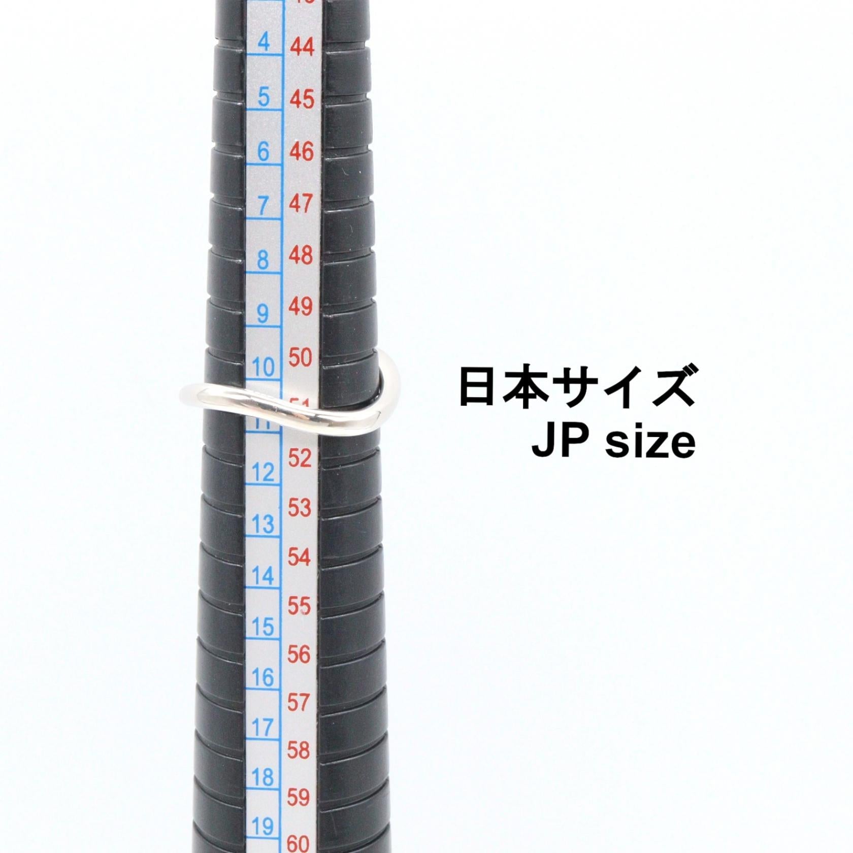 ジュエリー Au750ホワイトゴールド ブラックダイヤモンド ダイヤモンド リング