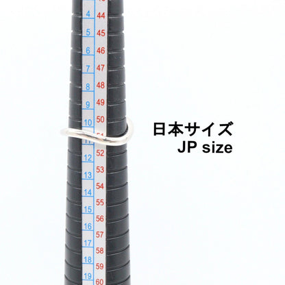 ジュエリー Au750ホワイトゴールド ブラックダイヤモンド ダイヤモンド リング