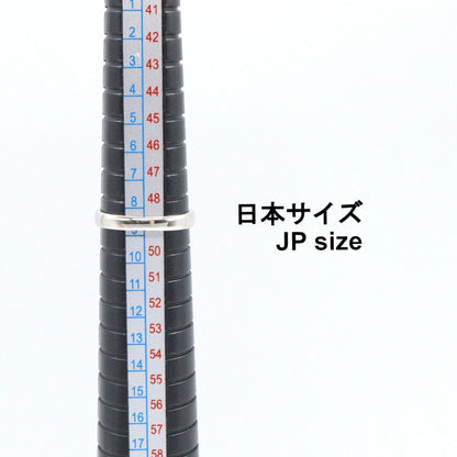 ジュエリー Pt900プラチナ サファイア ダイヤモンドリング