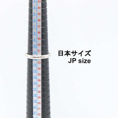 ジュエリー ダイヤモンド Pt900プラチナリング