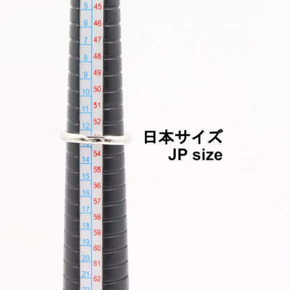 ジュエリー ダイヤモンド Pt900プラチナ リング
