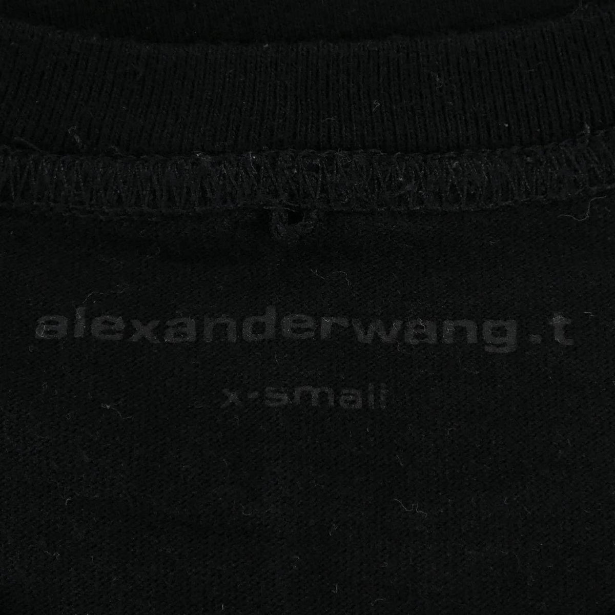 アレキサンダーワン Tシャツ