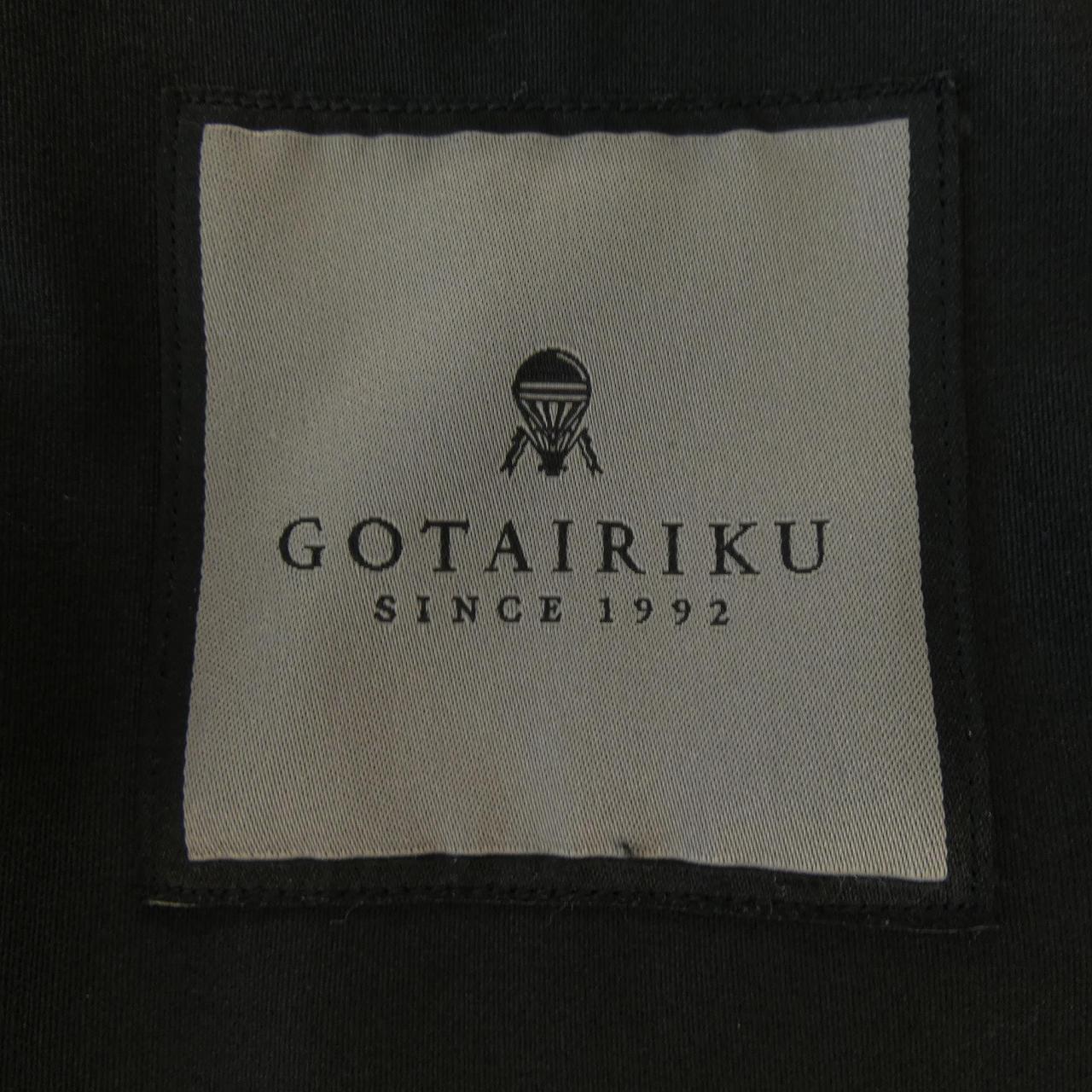 ゴタイリク セットアップ