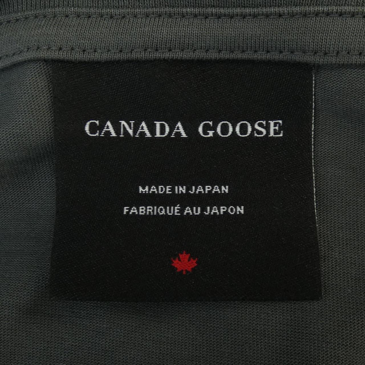 カナダグース コットンTシャツ