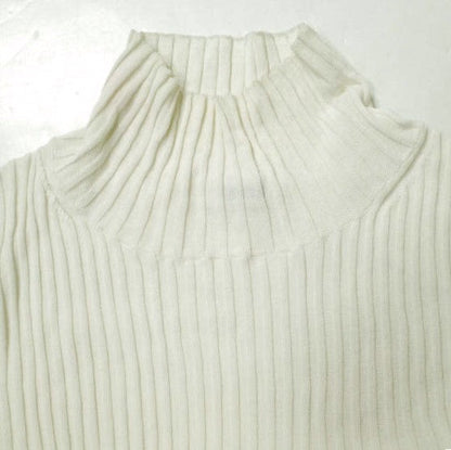 エイチビューティーアンドユース RAYON RIB TURTLE NECK KNIT ニット