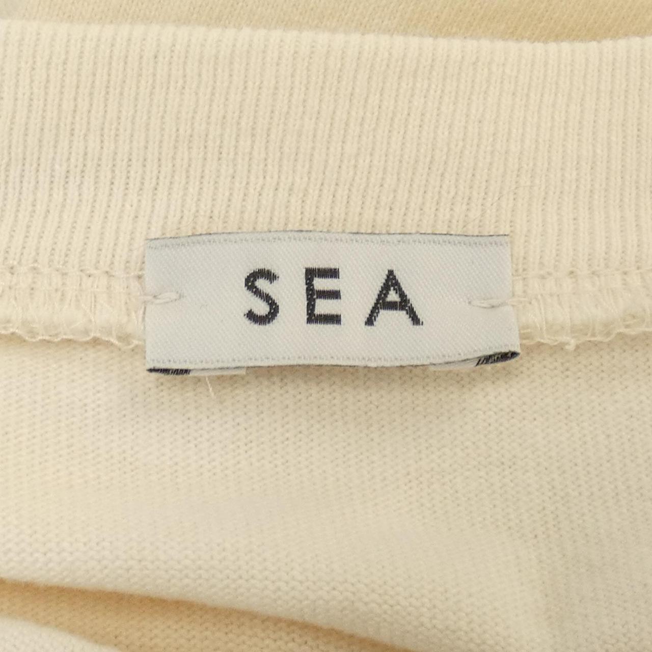 シー コットンTシャツ