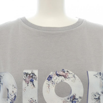 ディオール DANIEL ARSHAM Tシャツ
