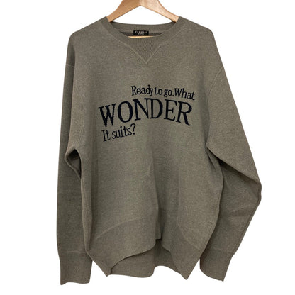 ヴェルメイユパーイエナ LOGO Knit ウールプルオーバーニット