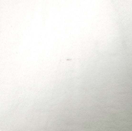 Danke Schon ロゴ プリント 長袖 Tシャツ L
