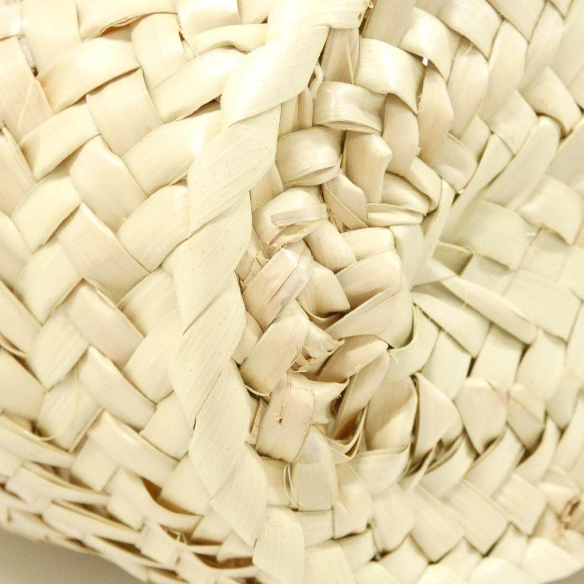 ロエベ パームリーフ カーフ バッグ