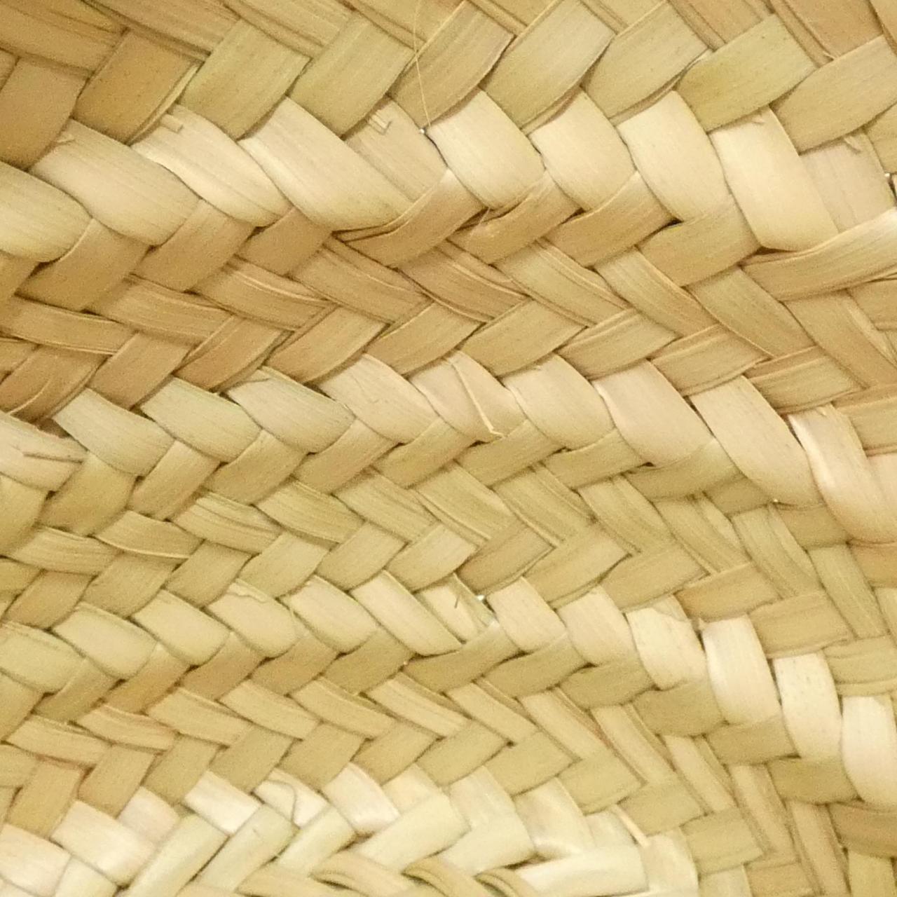 ミュウミュウ PALMITO バッグ