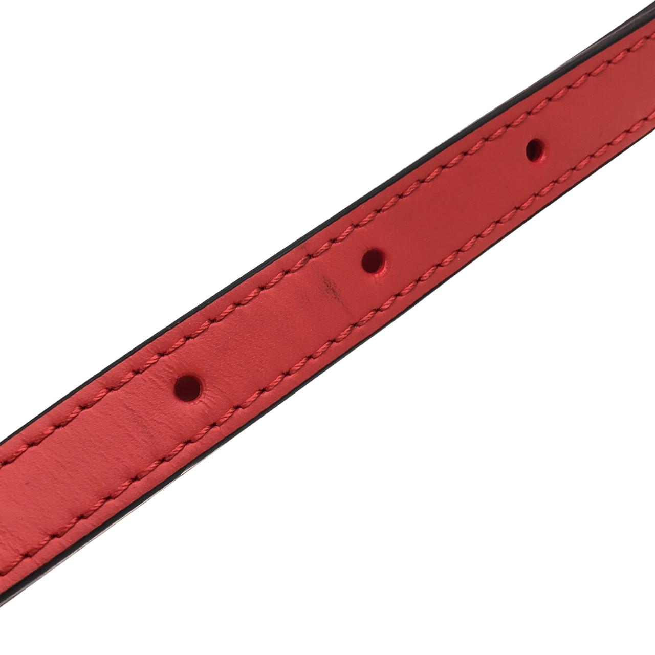 ルイヴィトン ダヌーブ エピ SUPREME ショルダーバッグ 限定