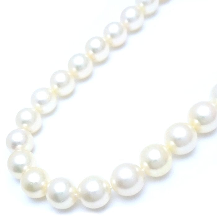 TASAKI パール ネックレス K14PG ピンク ゴールド
