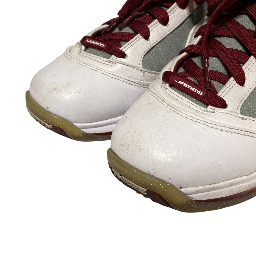 ナイキ LEBRON 7 スニーカー