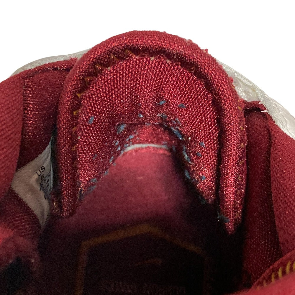 ナイキ LEBRON 7 スニーカー