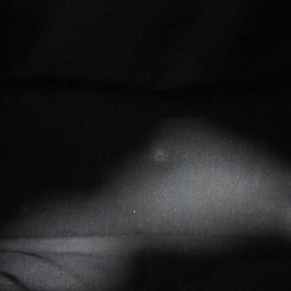 トッズ レザーハンドバッグ