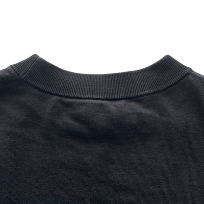 ハイク CREW NECK CROPPED SWEATER WITH SHEER SLEEVES ニットカットソー