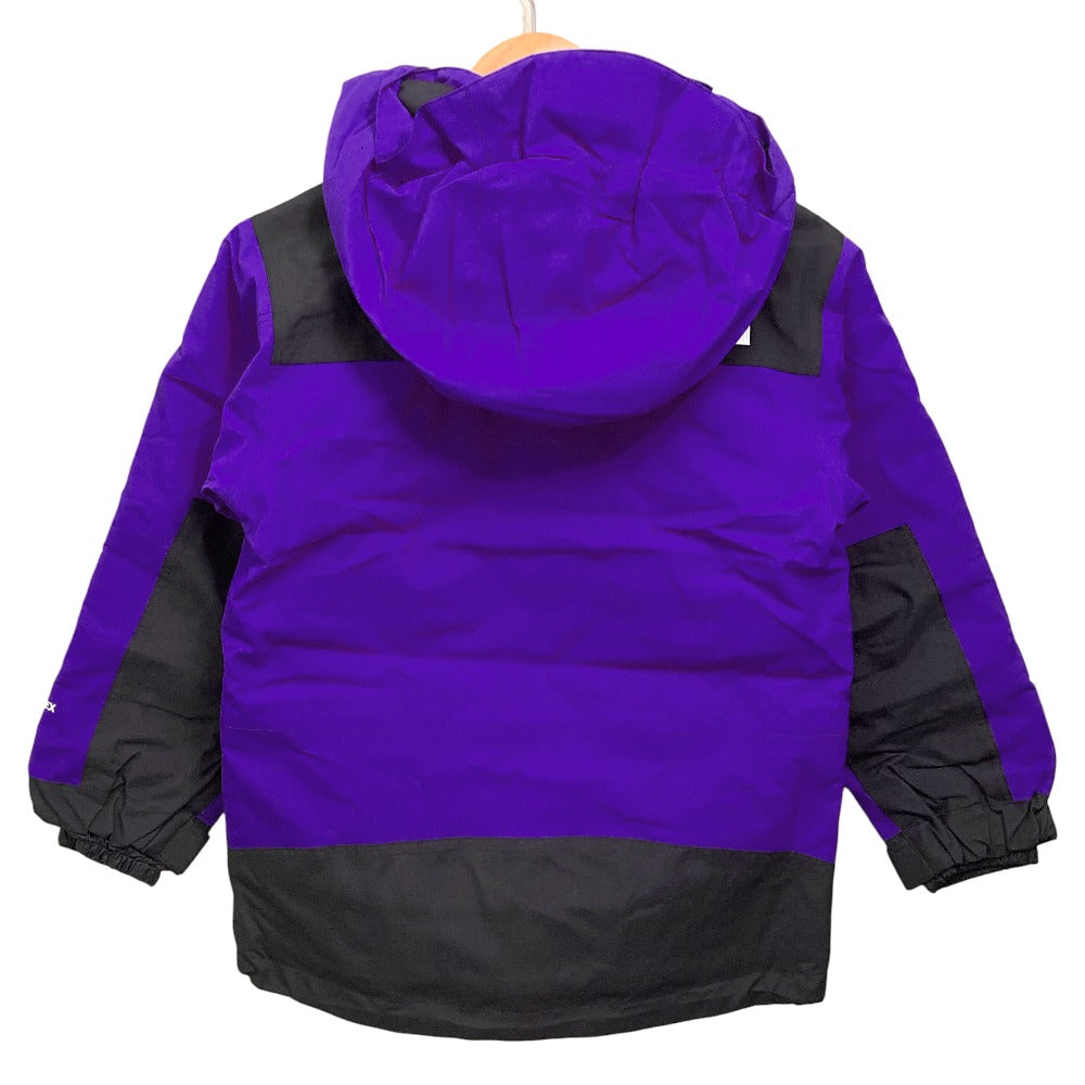ザノースフェイス GORE-TEX ジャケット