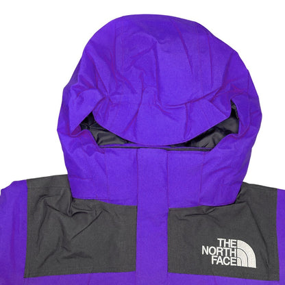 ザノースフェイス GORE-TEX ジャケット