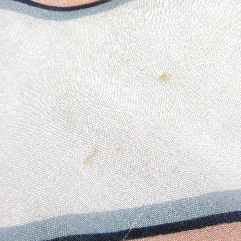 シトラス シフォンストール