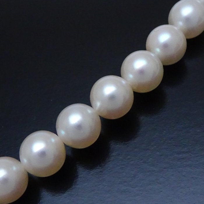 アコヤ パール ネックレス シルバー 7-8mm 40cm