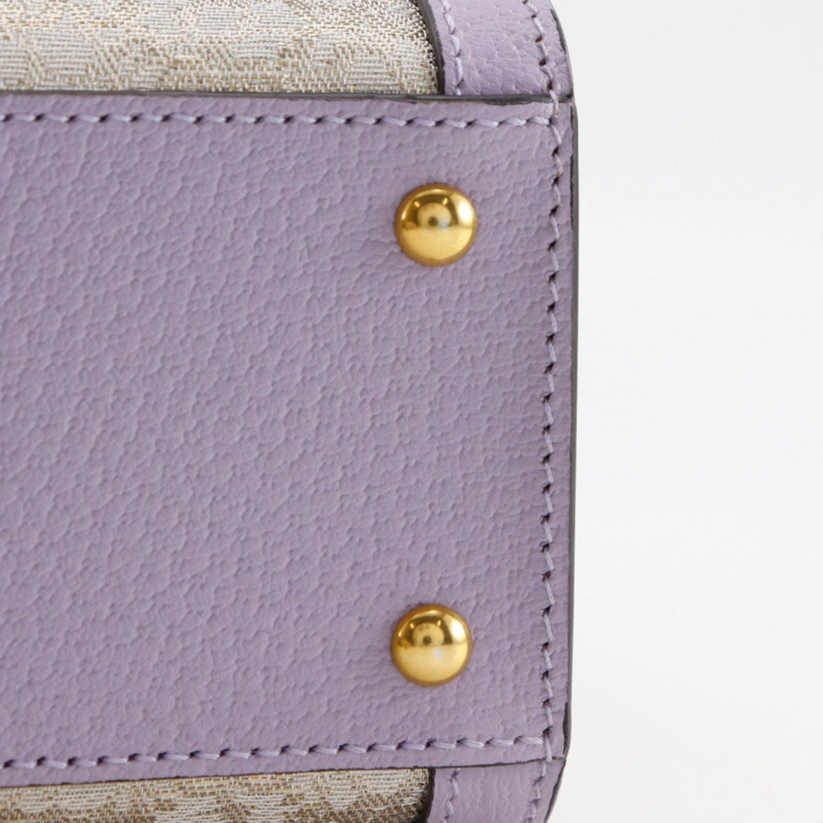 グッチ ダイアナ スモール GUCCI NISHIJIN レザー 西陣織 2wayハンドバッグ