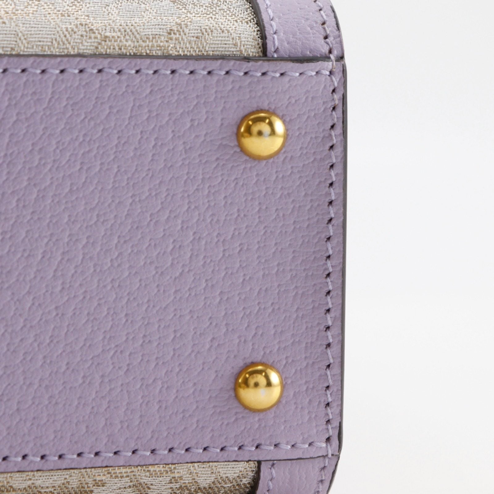 グッチ ダイアナ スモール GUCCI NISHIJIN レザー 西陣織 2wayハンドバッグ